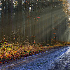 photo "after the fog"