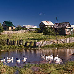 фото "В деревеньке"