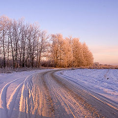 photo "Winter road"