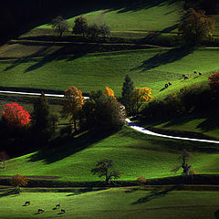 photo "Back to Autumn"