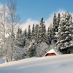 фото "Снег"