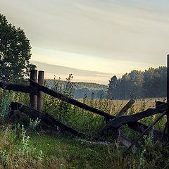 photo "Rural landscape"