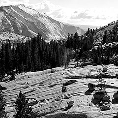 photo "Tioga Road"