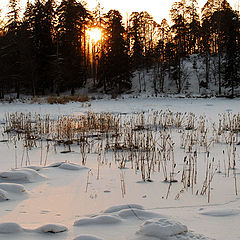 фото "Закат зимой"