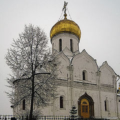 фото "Собор Рождества Богородицы"