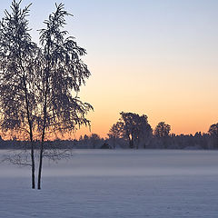 photo "Позёмка"