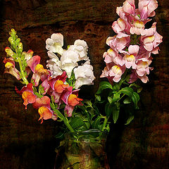 photo "Bouquet"