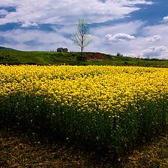 фото "Landscape nier Subotinac"