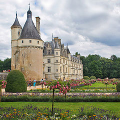 photo "Summer in the Loire Valley."