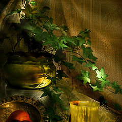 photo "Still life with ivy"