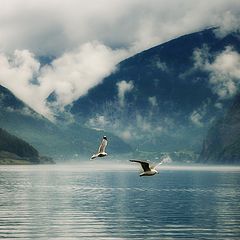 фото "Sognefjord"