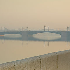 photo "Нева. Утро. Сонная ворона"