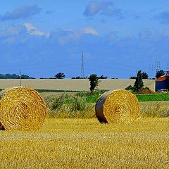 photo "it was summer"