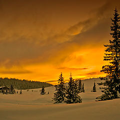 photo "Golden sunset"