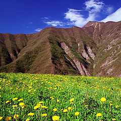 photo "mountain's colours"