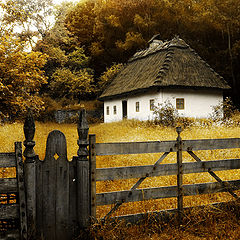 photo "***"