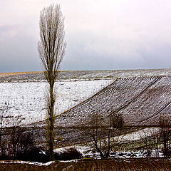 фото "Landscape nier Mozgovo"