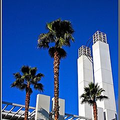 фото "Tres Palmas"