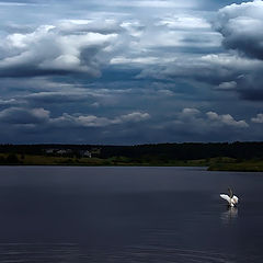 photo "To fly  to clouds."