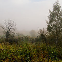 photo "***"