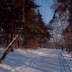 фото "В зимнем парке."