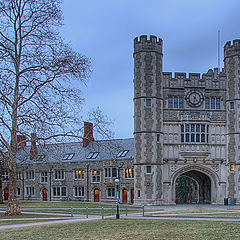 фото "Princeton"