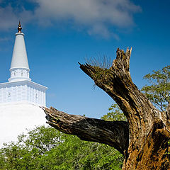 photo "A view of Ruwanweli Seya"