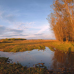 фото "Картинка середины октября"