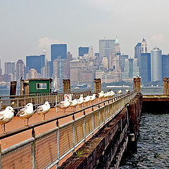 photo "Liberty Island Pier - New York"