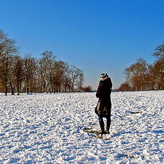 photo "Snow Field"