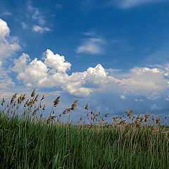 photo "***"