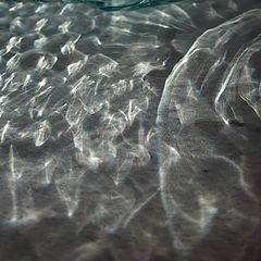 photo "glass fish swimming"