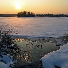 photo "Low sun of January"