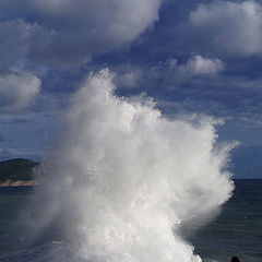 photo "wave"