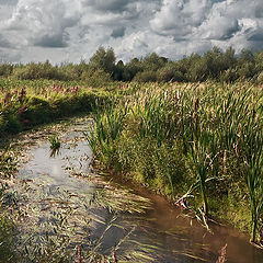 фото "Речка"