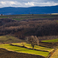 photo "Landscape next to Gornji Adrovac"