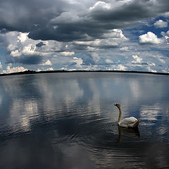 фото "Другой мир."