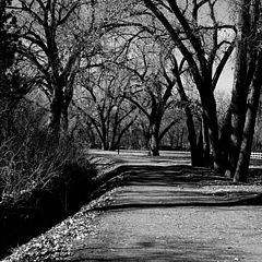 photo "A Dark Path"