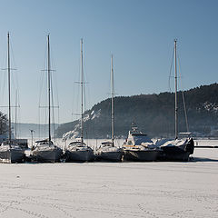 фото "Winter at the harbour"