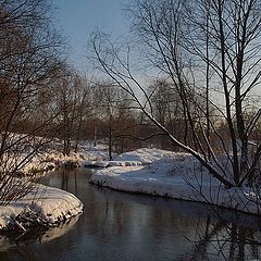 фото "Пономарька."