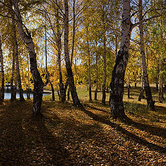 photo "Autumn / 0156_0045-0049"