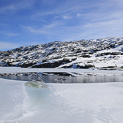 фото "Frozen Lake"