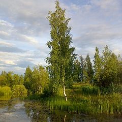 фото "Милый сердцу уголок..."