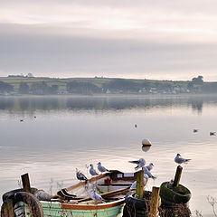 photo "Towards morning"