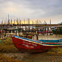 photo "Sailing On Dry Ground"