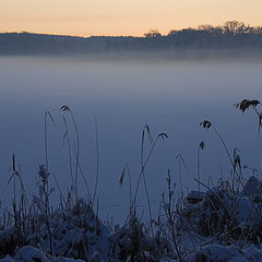 photo "morning, very cold"