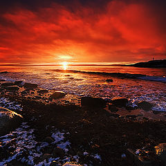 фото "Eveninglight on the beach"