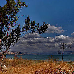 photo "Lake Kinneret"