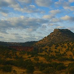 photo "In the Mexican prairie"