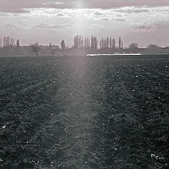 фото "Луч солнца над полем"